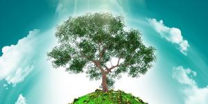 Environnement