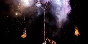 Le Grand festival 2016