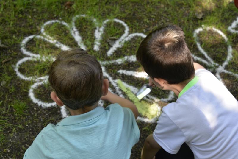 Les étonnantes rencontres des « rendez-vous au jardin » au Musée de la Princerie