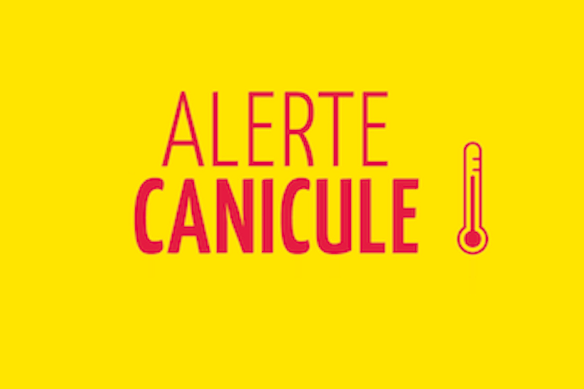 Canicule : adoptez les bons gestes !