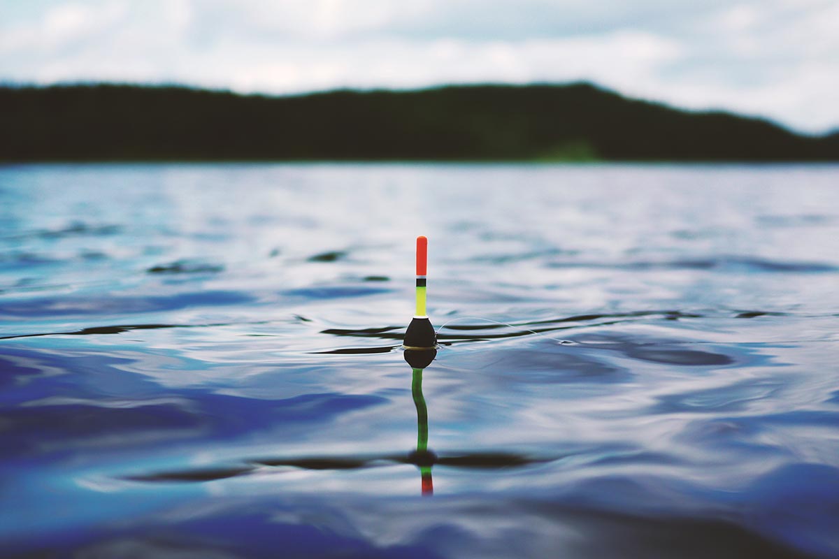 LA PÊCHE