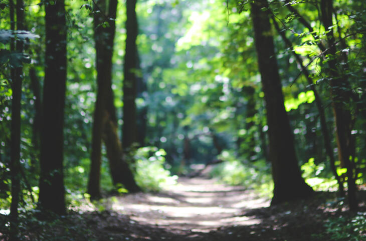 Interdiction d’accès aux parcs, jardins publics, forêts,plans d’eau, aires de jeux et terrain de sport