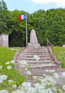 Visite guidée du Champ de Bataille en voiture – Bois des Caures
