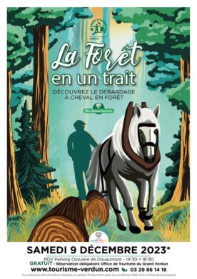La Forêt en un trait