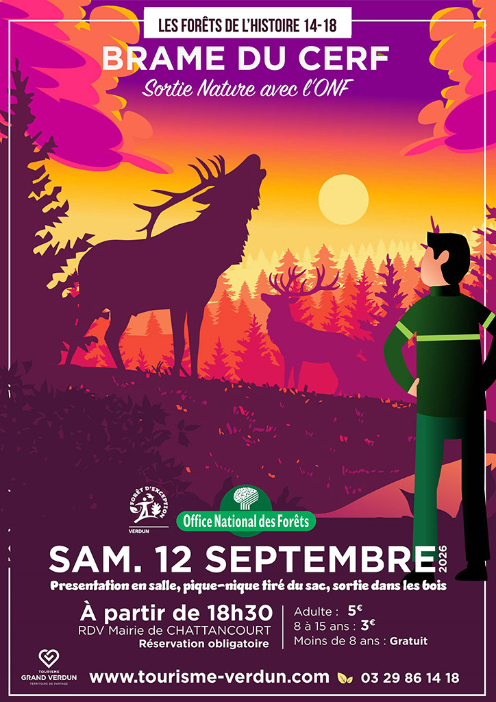 Les Forêts de l&rsquo;Histoire 14-18 : Brame du cerf