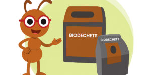 Bio-déchets