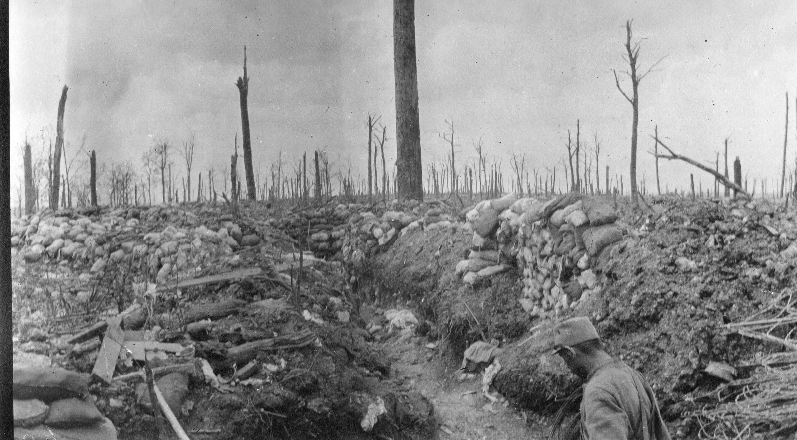 Conférence – Meuse 1915. Fureur, désillusions et installation dans la guerre totale.