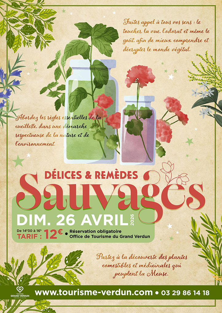 Délices & remèdes sauvages