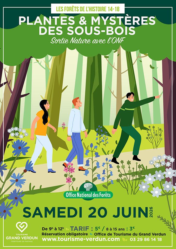 Plantes et mystères des sous-bois