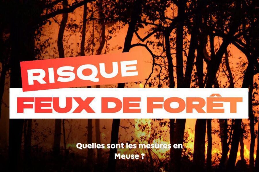 Renforcement des mesures de prévention face au risque de feux de forêt et d’espaces végétalisés