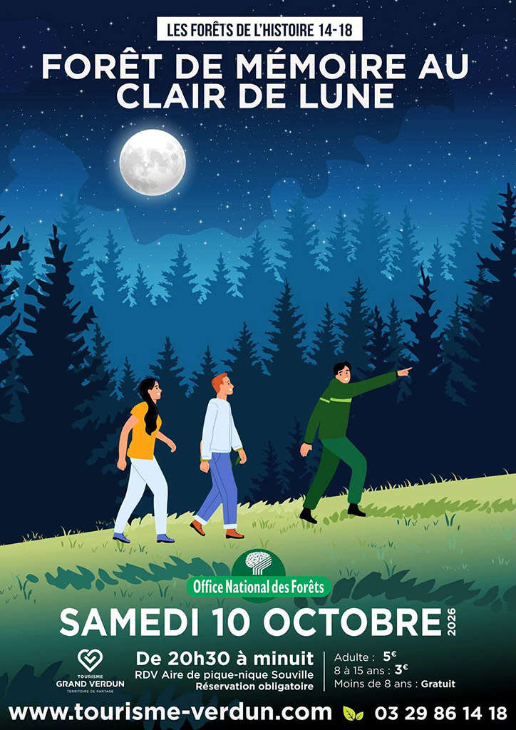 Forêt de mémoire au clair de lune